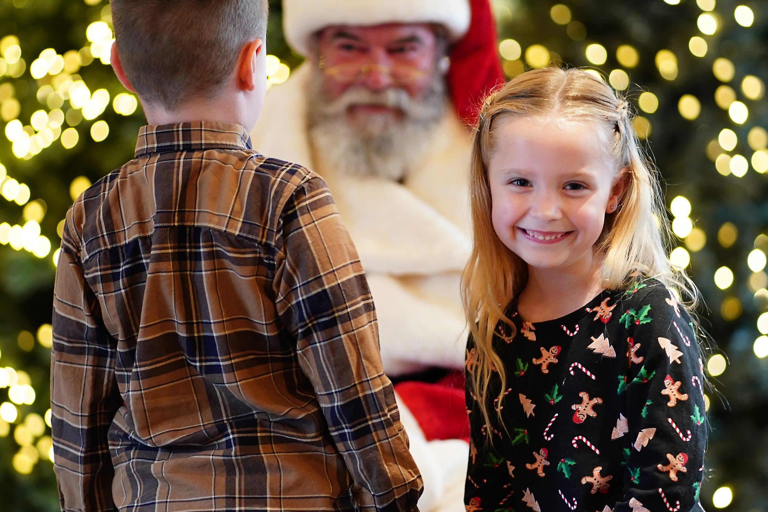 Dobbies Santa 103 a SA