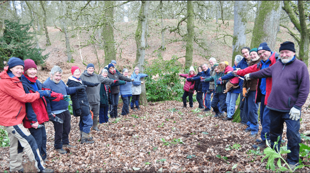 Woodland