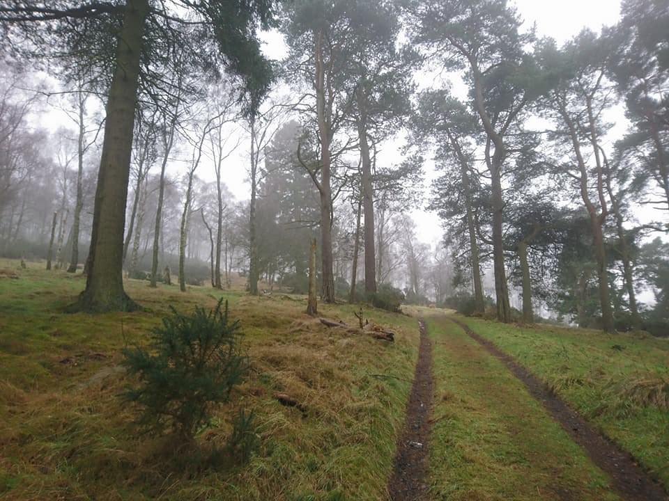 Scone Pinnacle